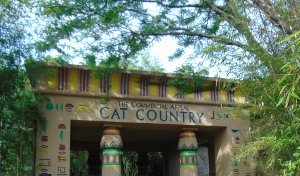 The Commercial Appeal Cat Country Entrance