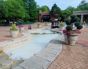 Wading River in front of Cat House Cafe