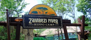 Zambezi River Hippo Camp