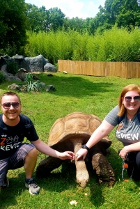 Aldabra Tortoise Festus Jamie Steve