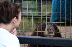 Joey with Lil' Bear American Black Bear