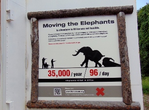 African Elephant Transportation Educational Signage