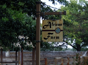 African Farm Sign