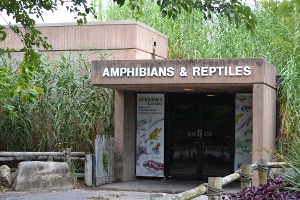 Amphibians and Reptiles Building