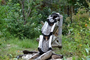 Childrens OWL Interactive Area