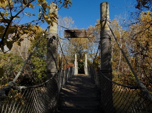 Downing Gorilla Forest Reserve Bridge