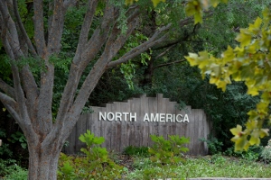 North America Area Entrance