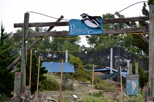 Pengiun Cove Sign