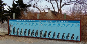 Penguins of the World Educational Signage