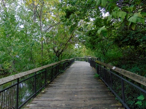 Scenic Trail North American Area Sedgwick County Zoo 2