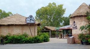 Scenic Walkway to Gorrial Forrest Sedgwick County Zoo