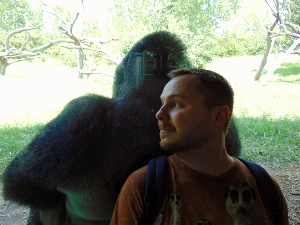 Western Lowland Gorilla & Steve