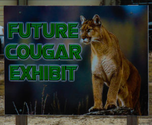 16 Cougar Habitat Coming Soon Sign_edited_edited