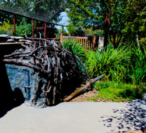 American Beaver Den Hutchinson Zoo