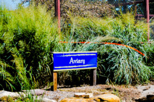 Aviary Hutchinson Zoo