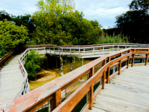 Boardwalk to Ausltralia