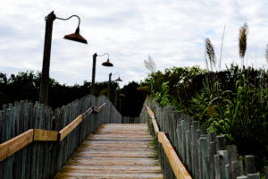 Boardwalk to the African Savannah