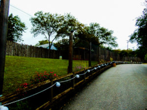 Cheetah Run Area Dallas Zoo