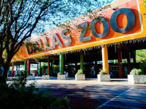 Dallas Zoo Entrance