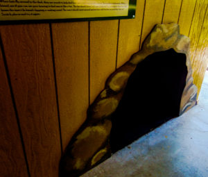 Discovery Center Inside Hutchinson Zoo