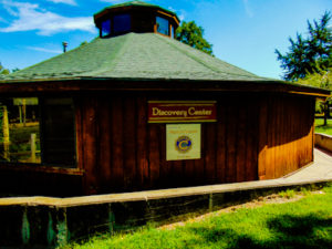 Discovery CenterHutchinson Zoo