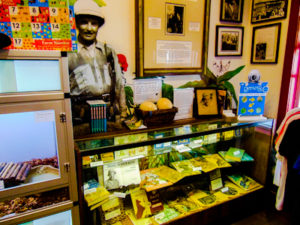 Frank Buck Museum inside Gift Shop