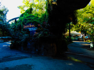 Jambo Entrance to Africa Dallas Zoo