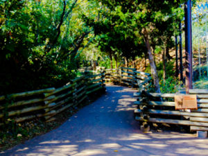 Oklahoma Trails 2 Oklahoma City Zoo