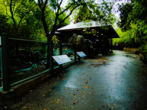 Otter Habitat Dallas Zoo