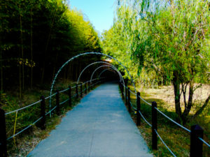 Pathway to Asia from Australia