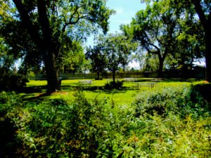 Picnic Area Hutchinson Zoo