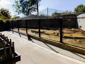 Prairie Dog Habitat Frank Buck Zoo