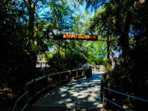 Simmons Hippo Camp Dallas Zoo
