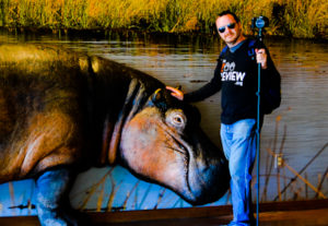 Steve & Hippo Educational Model Dallas Zoo
