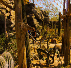Desert Done Henry Doorly Zoo