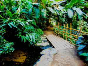 Lied Jungle Building Henry Doorly Zoo