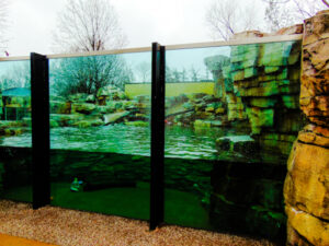 North American River Otter Habitat Kansas City Zoo