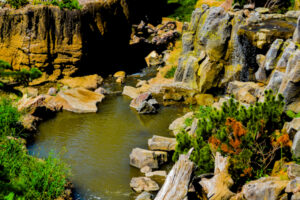 Takin Habitat Henry Doorly Zoo