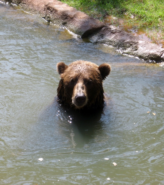 oklahoma city zoo hours saturday