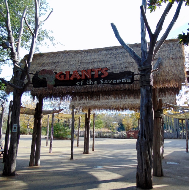 Dallas Zoo and Giants of the Savanna photo 2